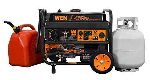 WEN  Dual Fuel Portable Generator with Electric Start Transfer Switch
