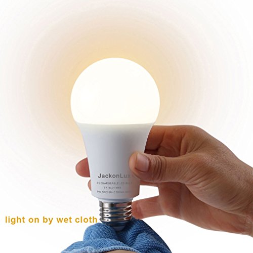 Led Emergency Bulb Light A80 15w Hook With Switch Bright Some