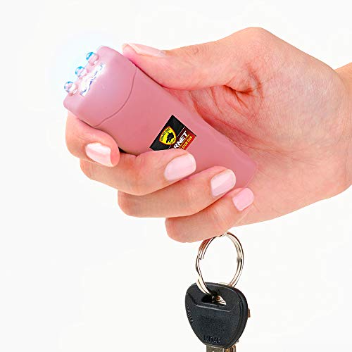 Smallest Stun Gun Keychain with Flashlight and Carry Case