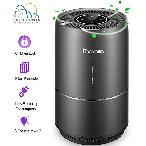 iTvanila 4 in 1 Air Purifier for Home, True HEPA Active Carbon Filter, Quiet in Bedroom,Filtration System Cleaner