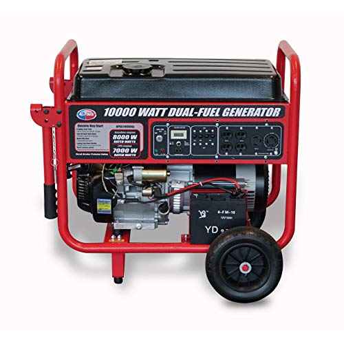 All Power America Dual Fuel Portable Generator with Electric Start
